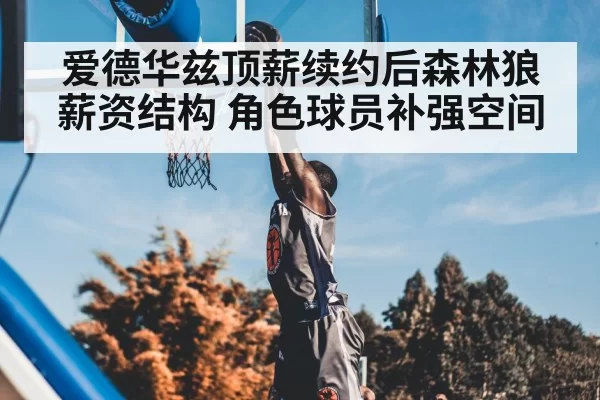 爱德华兹顶薪续约后森林狼薪资结构 角色球员补强空间